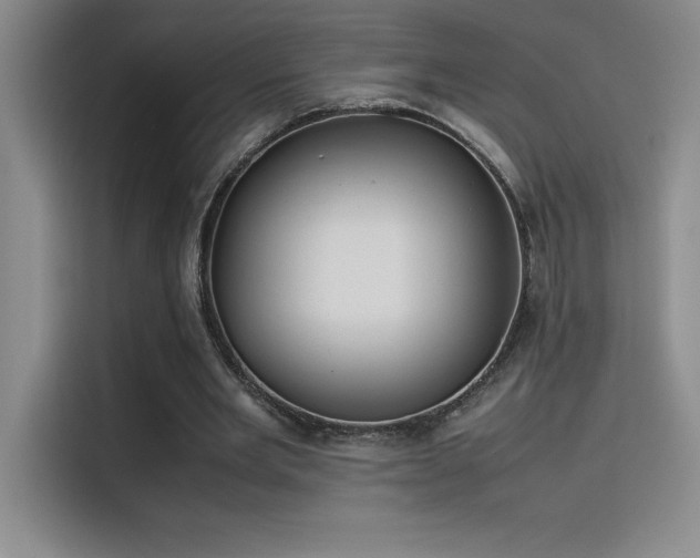 X0000116100485200911231128