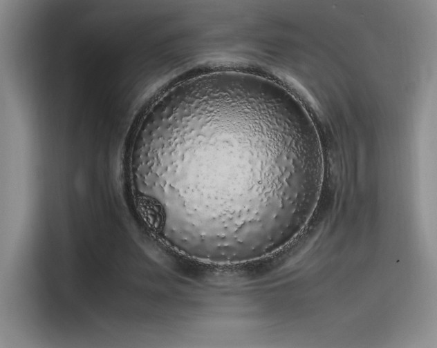 X0000116100487200911231128