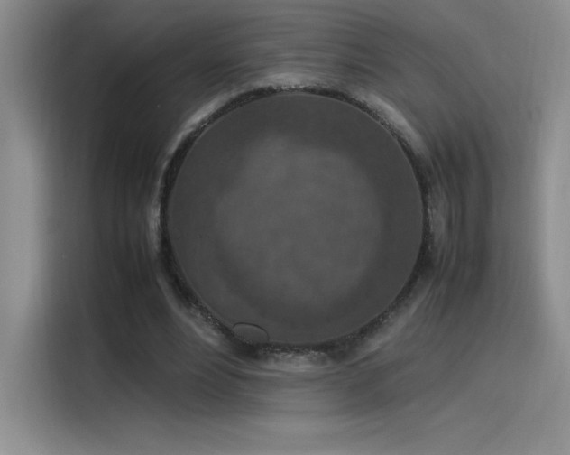 X0000116100488200911231128