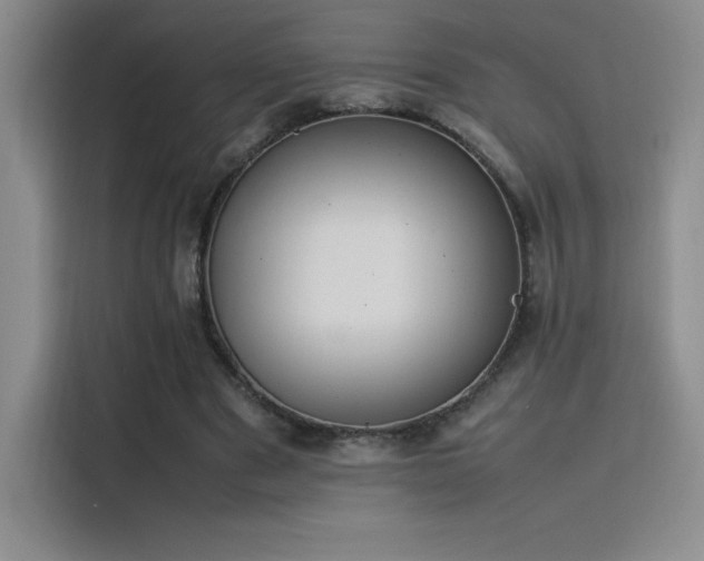 X0000116100489200911231128