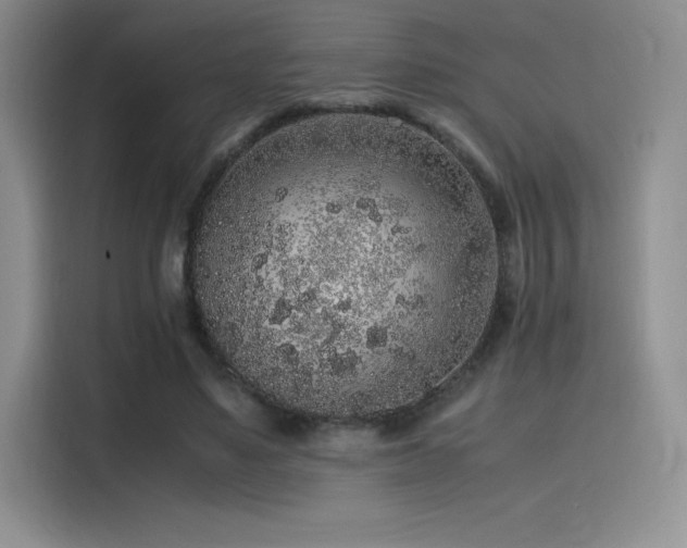 X0000116100491200911231128