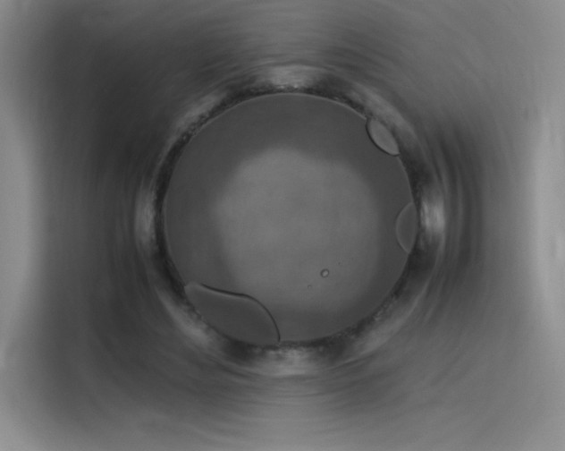 X0000116100492200911231128