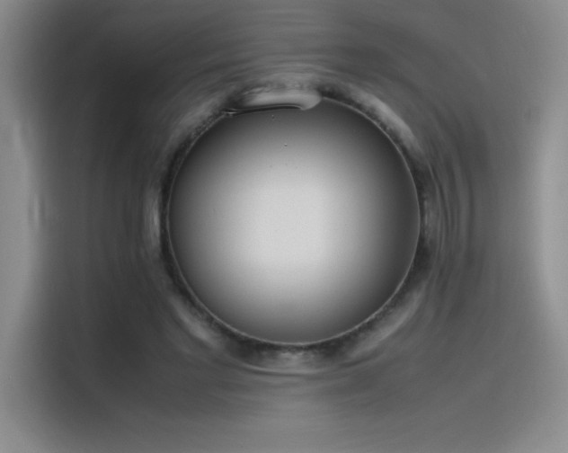 X0000116100493200911231128