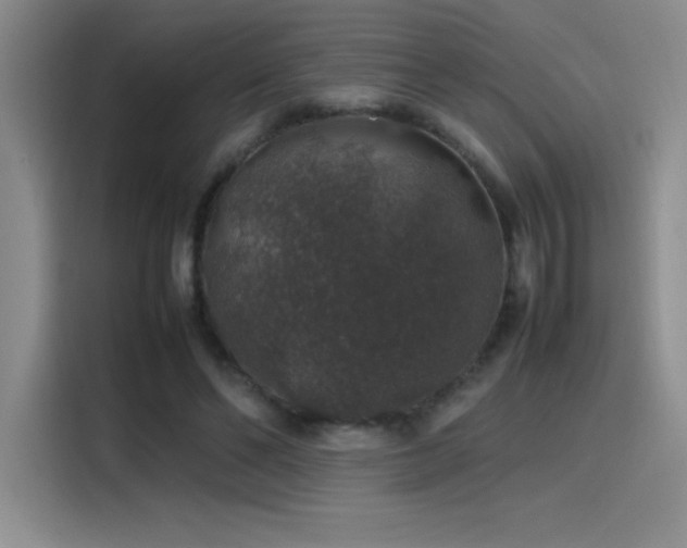 X0000116100494200911231128