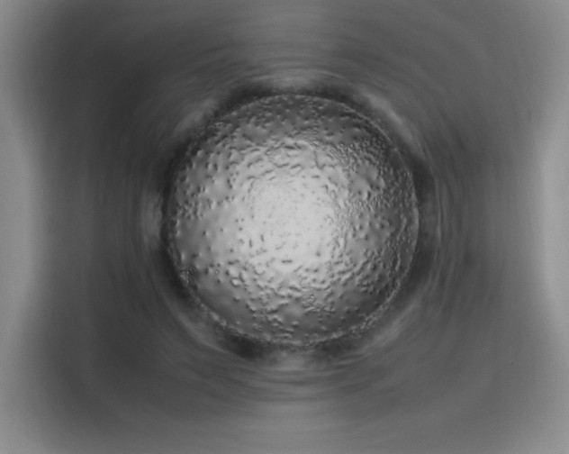 X0000116100495200911231128