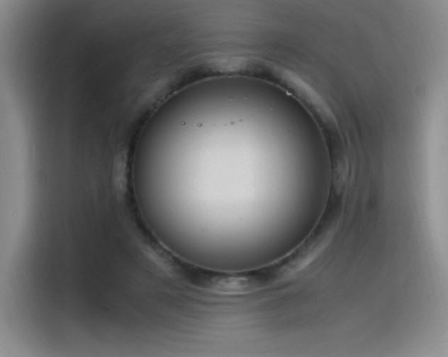 X0000116100497200911231128