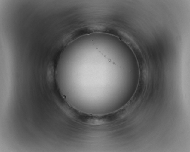 X0000116100498200911231128