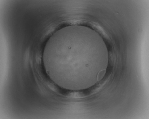 X0000116100499200911231128