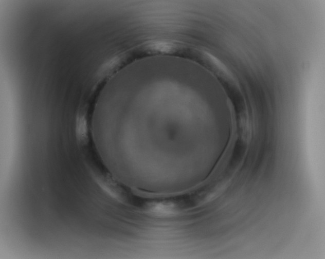 X0000116100500200911231128