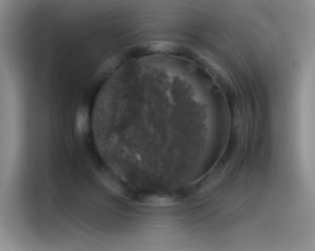 X0000116100502200911231128