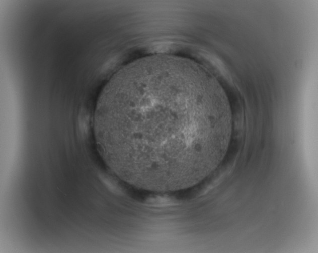 X0000116100503200911231128