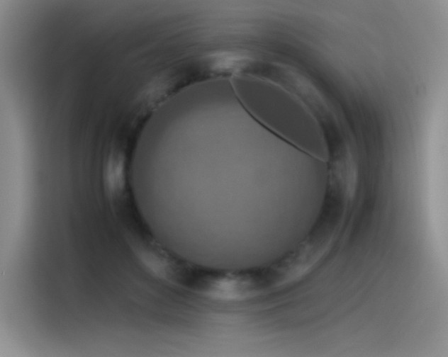 X0000116100504200911231128
