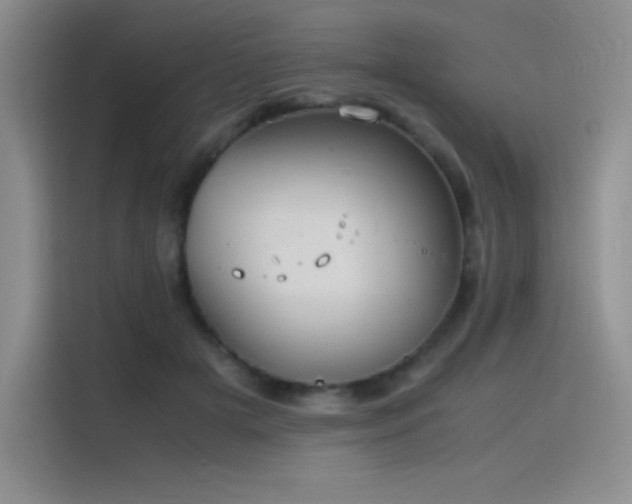 X0000116100505200911231128