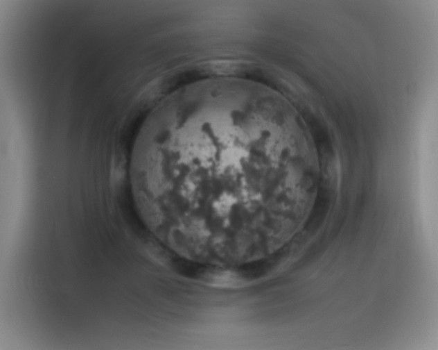 X0000116100507200911231128