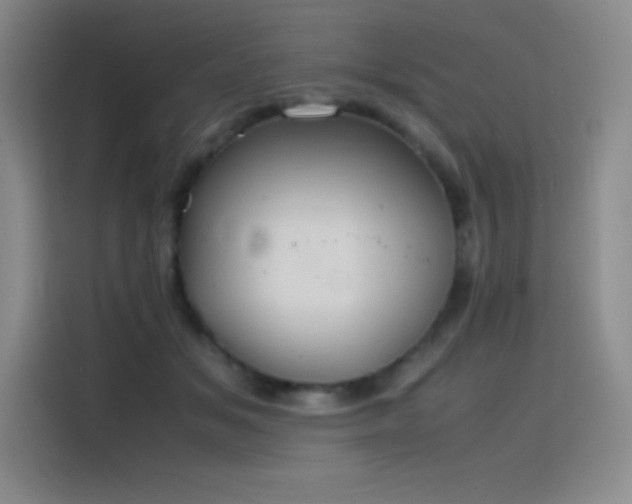 X0000116100509200911231128