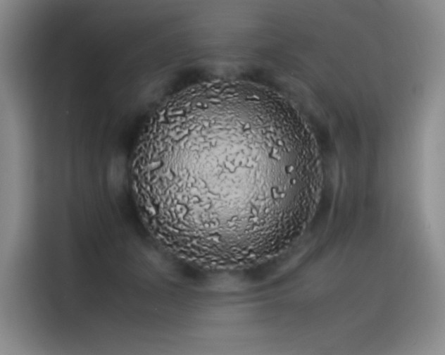 X0000116100511200911231128