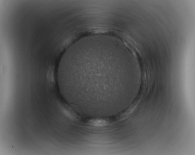 X0000116100512200911231128