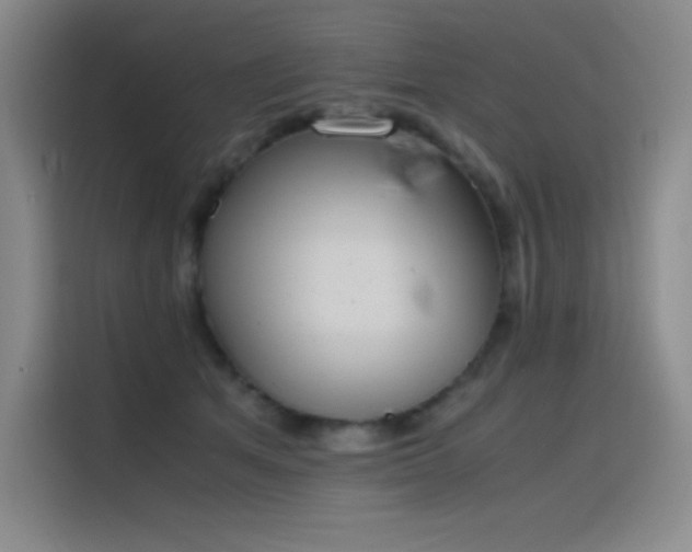 X0000116100513200911231128