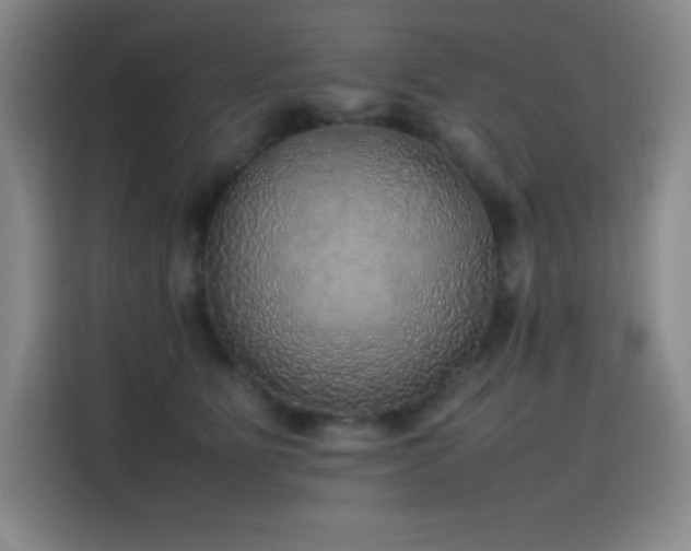 X0000116100515200911231128