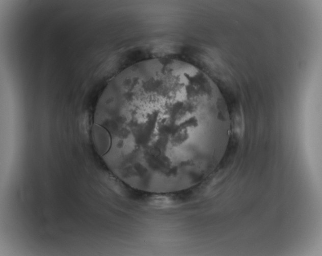 X0000116100519200911231128