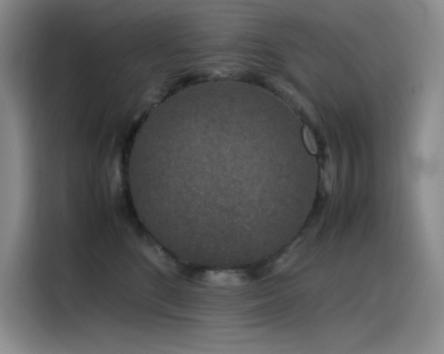 X0000116100520200911231128