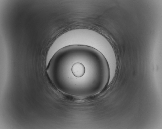 X0000116100521200911231128