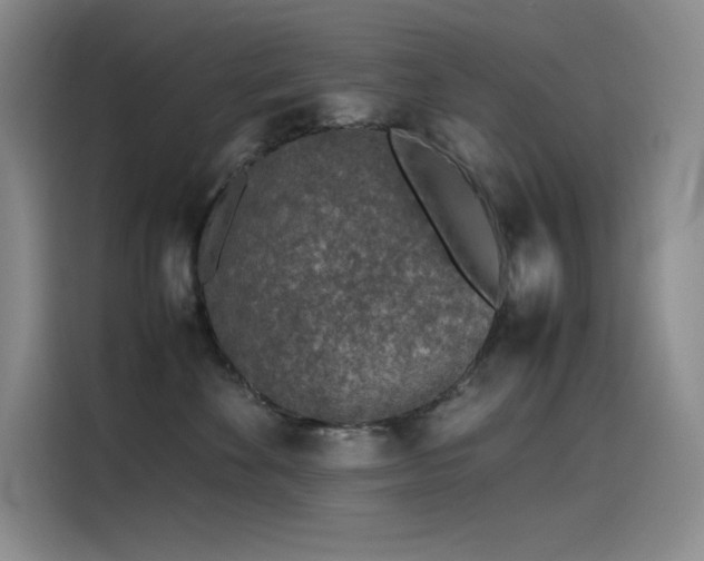 X0000116100524200911231128