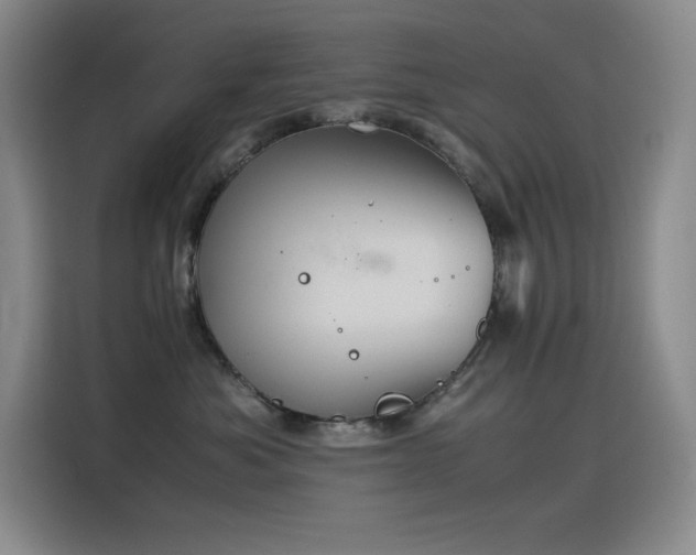 X0000116100525200911231128