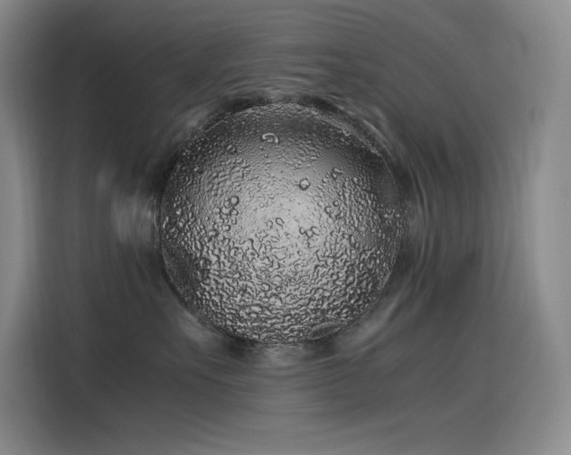 X0000116100527200911231128