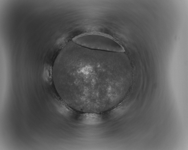 X0000116100528200911231128