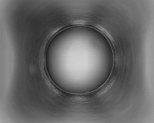 X0000116100529200911231127