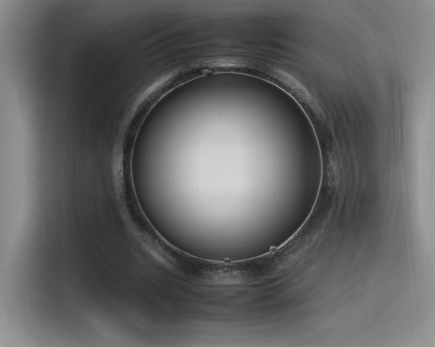 X0000116100535200911231127