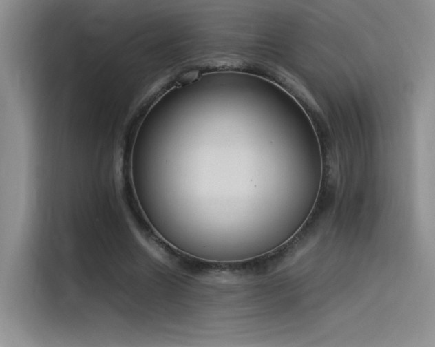 X0000116100538200911231127