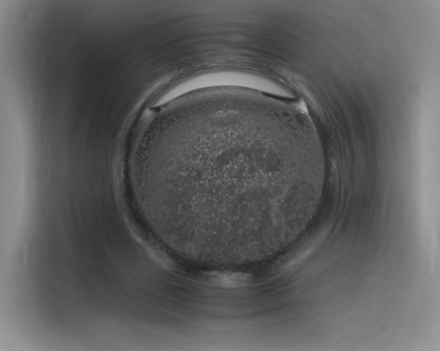 X0000116100539200911231127