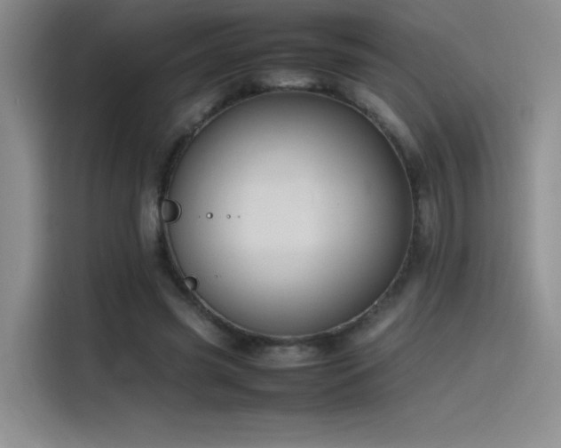X0000116100541200911231127