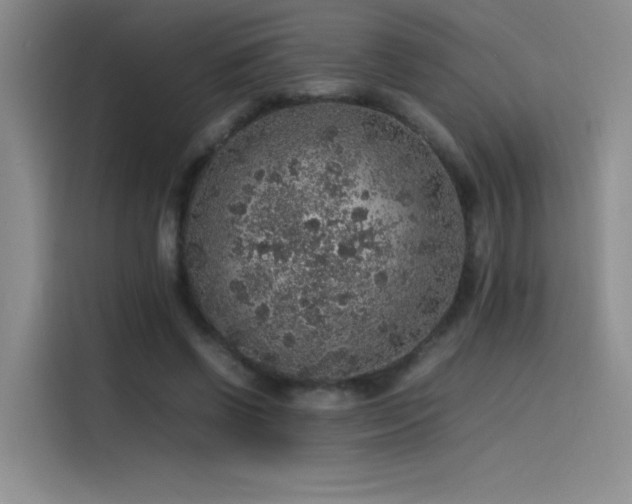 X0000116100542200911231127