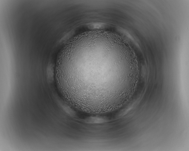 X0000116100545200911231127