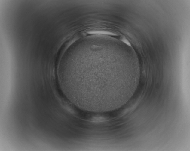 X0000116100547200911231127
