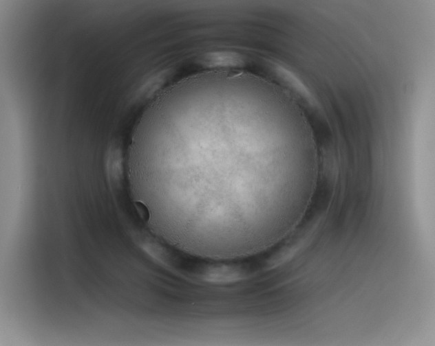X0000116100549200911231127