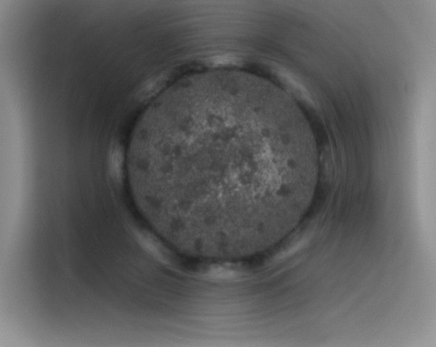 X0000116100550200911231127