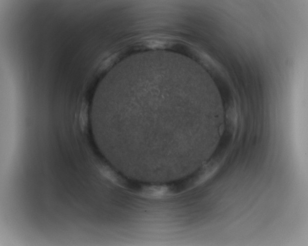 X0000116100554200911231127
