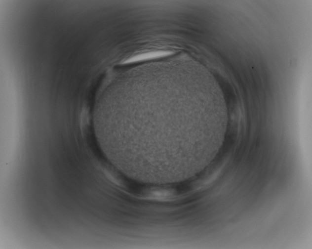 X0000116100555200911231128