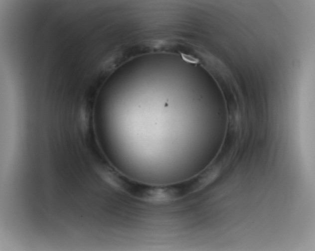 X0000116100558200911231128