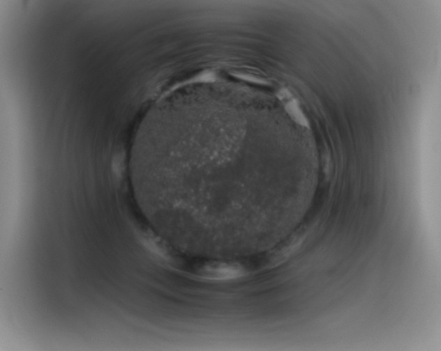 X0000116100559200911231128