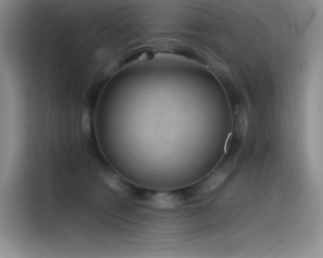 X0000116100562200911231128