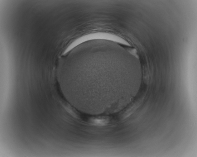 X0000116100563200911231128