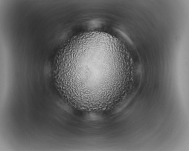 X0000116100565200911231128