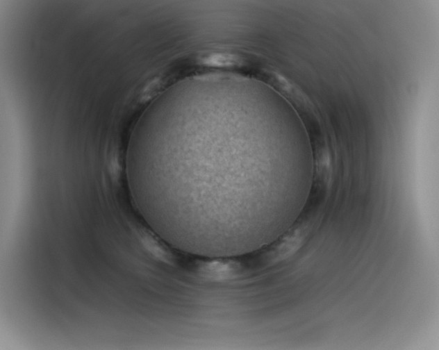 X0000116100566200911231128