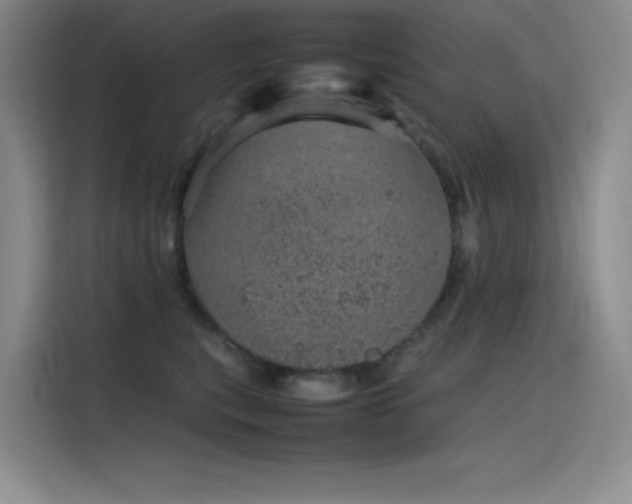 X0000116100567200911231128