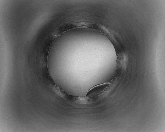 X0000116100573200911231128